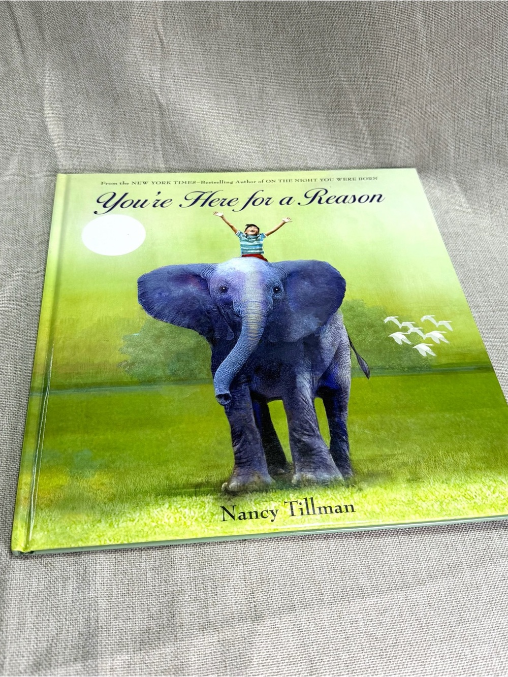 You're Here for a Reason by Nancy Tillman | Kids Book